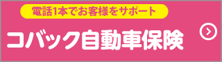 コバック自動車保険